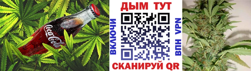 где купить наркоту  Кубинка  блэк спрут как войти  Cannafood марихуана 