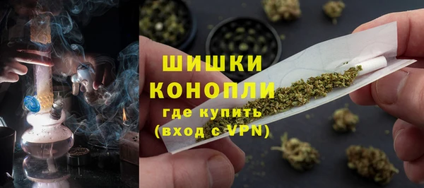 прущие грибы Балахна