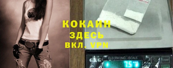 прущие грибы Балахна