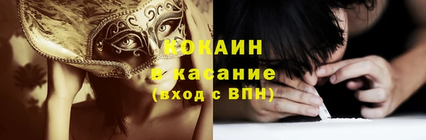 индика Заволжье