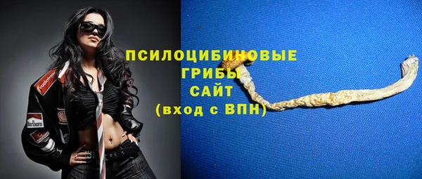 прущие грибы Балахна