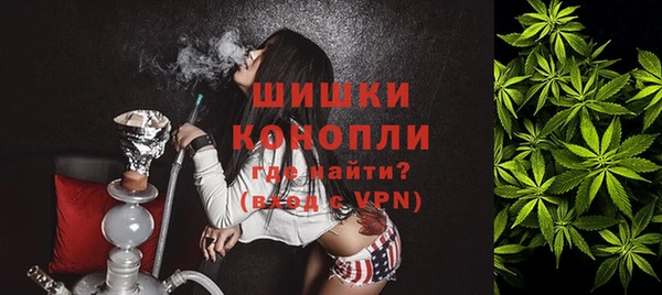 прущие грибы Балахна