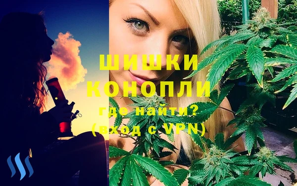 прущие грибы Балахна