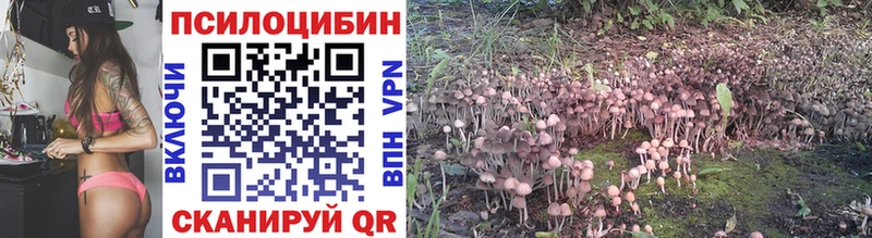 ссылка на мегу маркетплейс  Кубинка  Псилоцибиновые грибы Magic Shrooms  закладка 