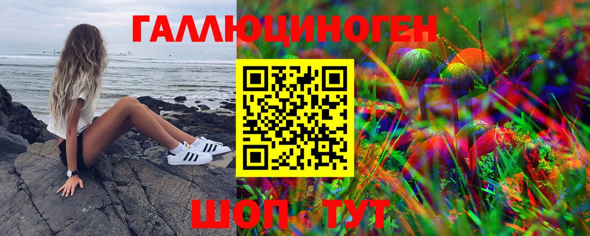 Псилоцибиновые грибы GOLDEN TEACHER Кубинка